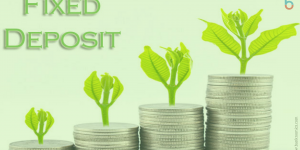 FIX DEPOSIT LOAN